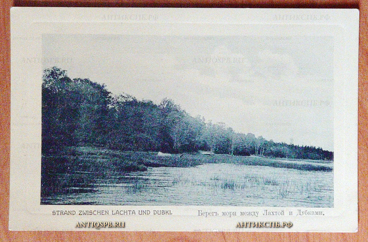 Открытка старинная, открытое письмо "Strand zwischen Lachta und Dubki. Берег моря между Лахтой и Дубками". Всемирный почтовый союз. Нач. ХХ века. Россия. №5599